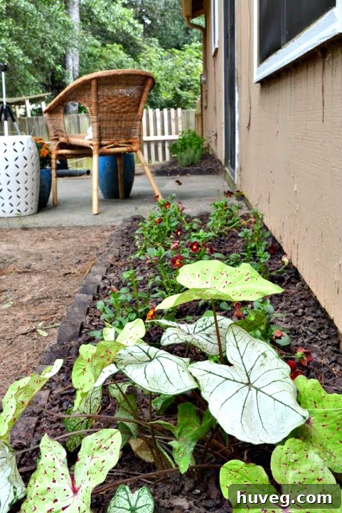 Overview of the transformed fall garden with new plants and mulch