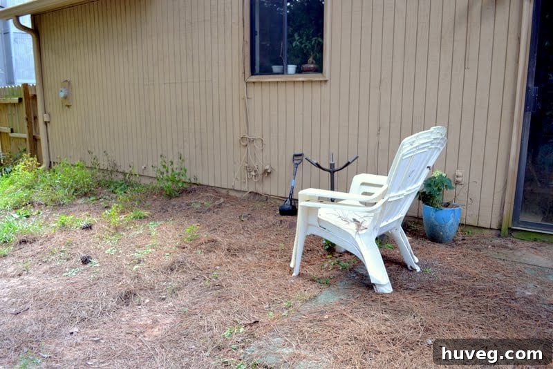 Narrow strips of dirt and red brick edging in neglected backyard