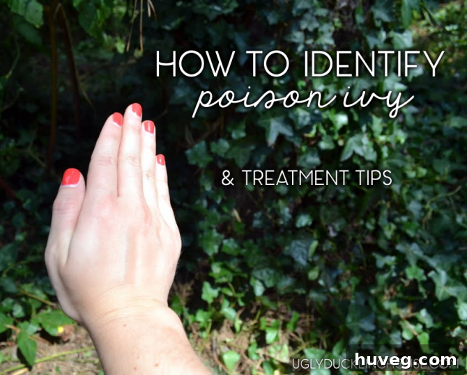 Visual guide for poison ivy identification and treatment tips