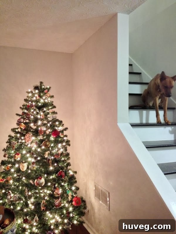 A wide shot of the living room showing a decorated Christmas tree with various ornaments, and a dog (Charlie) observing from a cozy spot on the floor.