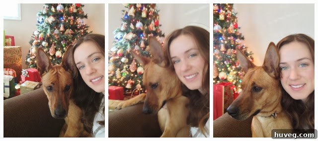 Attempting a Christmas holiday photo with Charlie, the dog, looking at the camera with a festive background