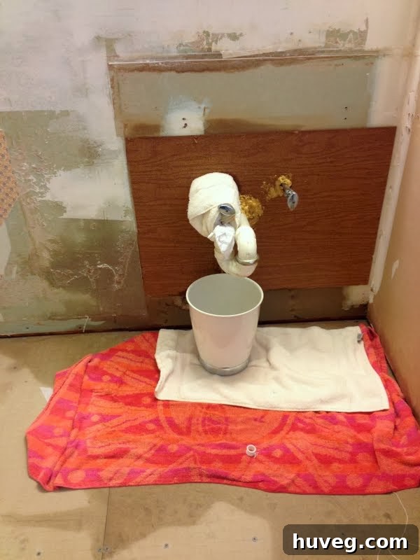 Temporary leak containment