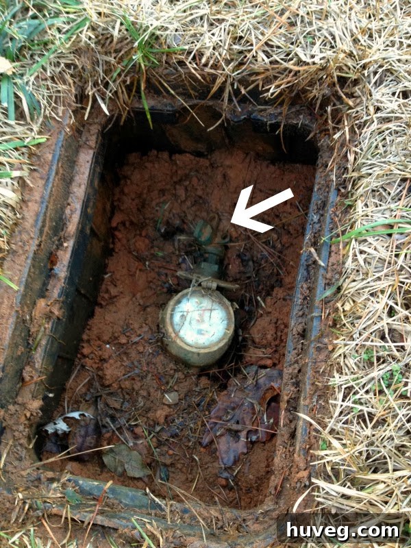 Water main access point