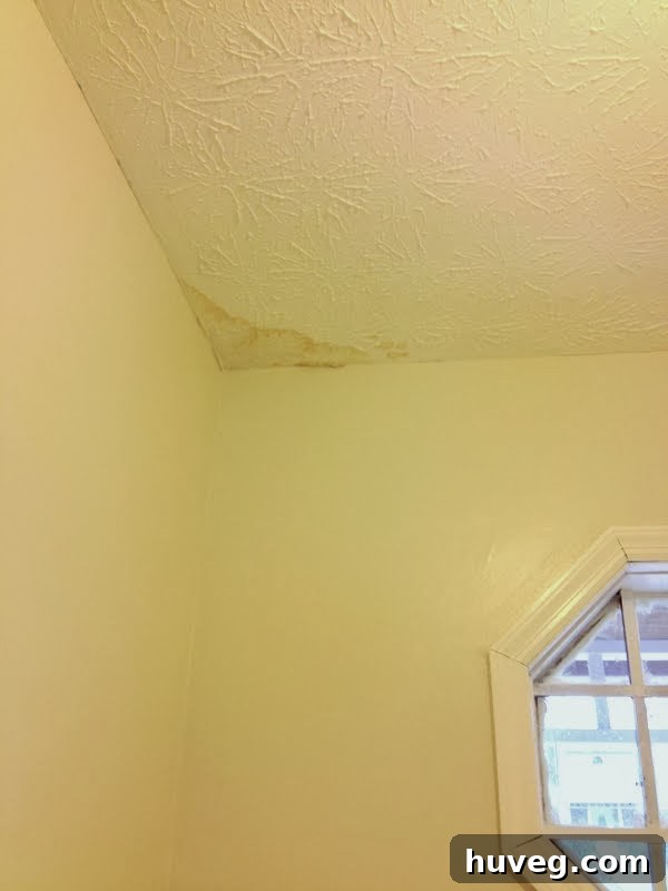 Fresh water stain on laundry room ceiling after a plumbing leak, indicating water damage above.