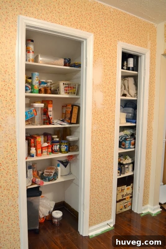 Finished Painted Pantry Doors and Trim in Modern Kitchen