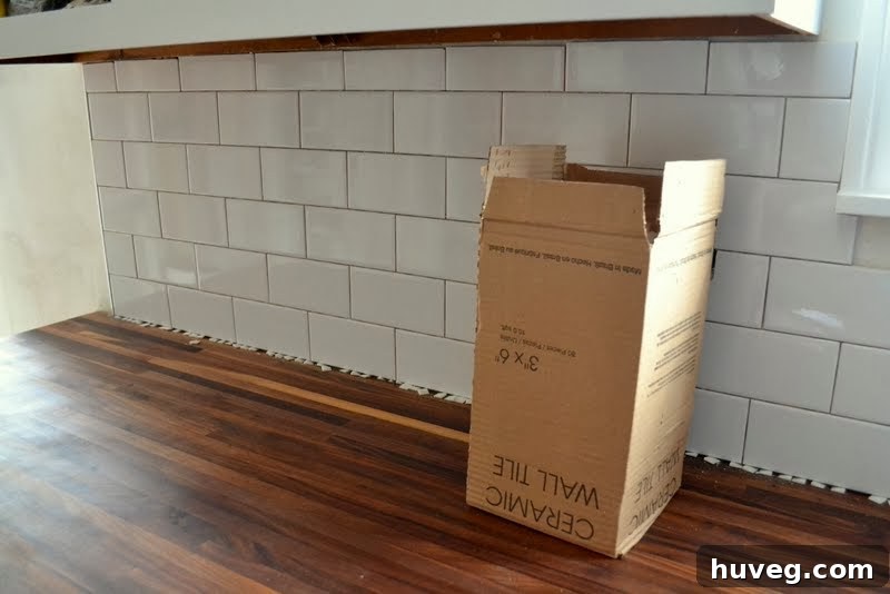 Kitchen Backsplash Tile - Sink Wall