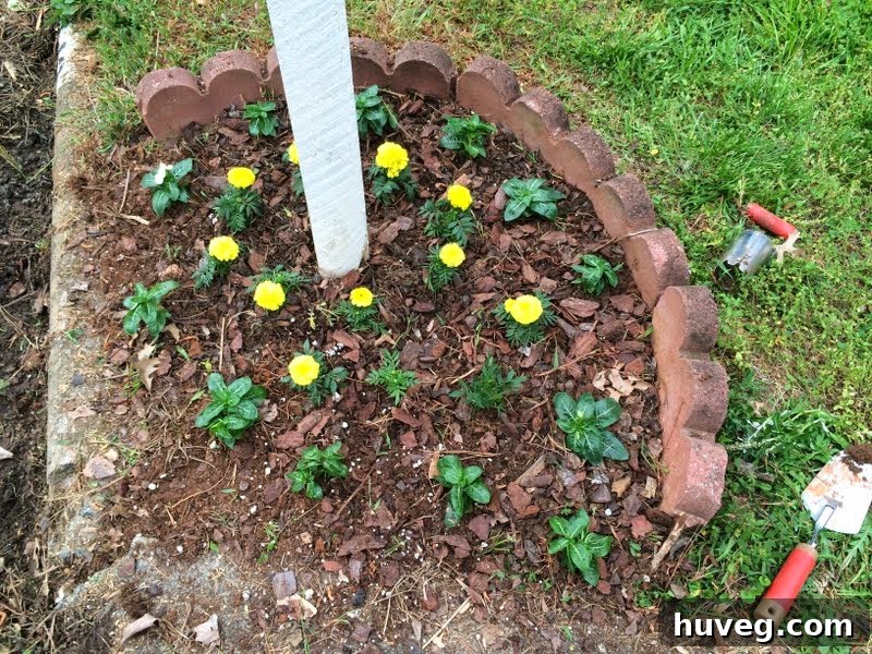 Newly planted yellow marigolds and white vinca around a mailbox