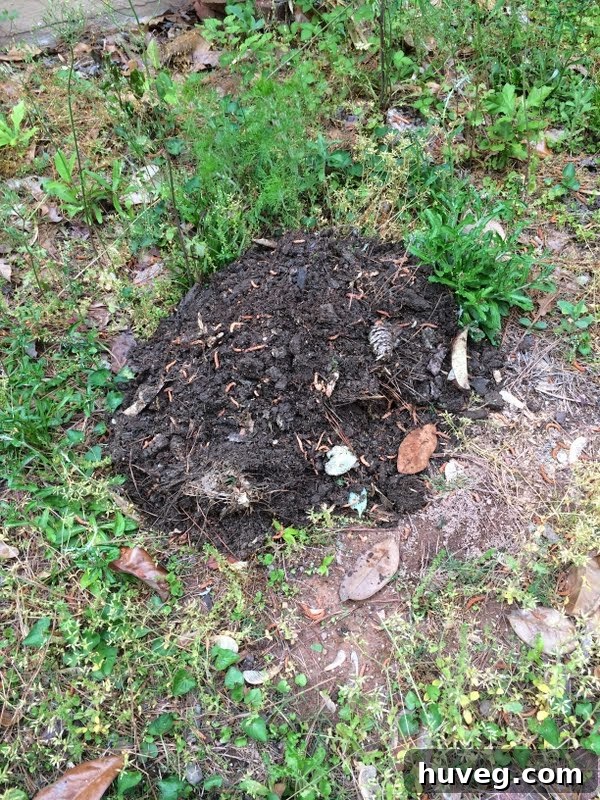 Pile of mulched pine straw removed from the curb