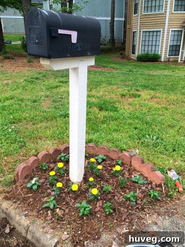 Beautifully updated mailbox area with vibrant yellow flowers