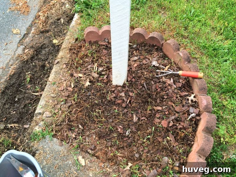 Garden bed around mailbox before weeding, showing neglect