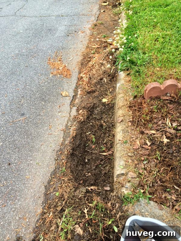 Curb and runoff area covered in pine straw and debris