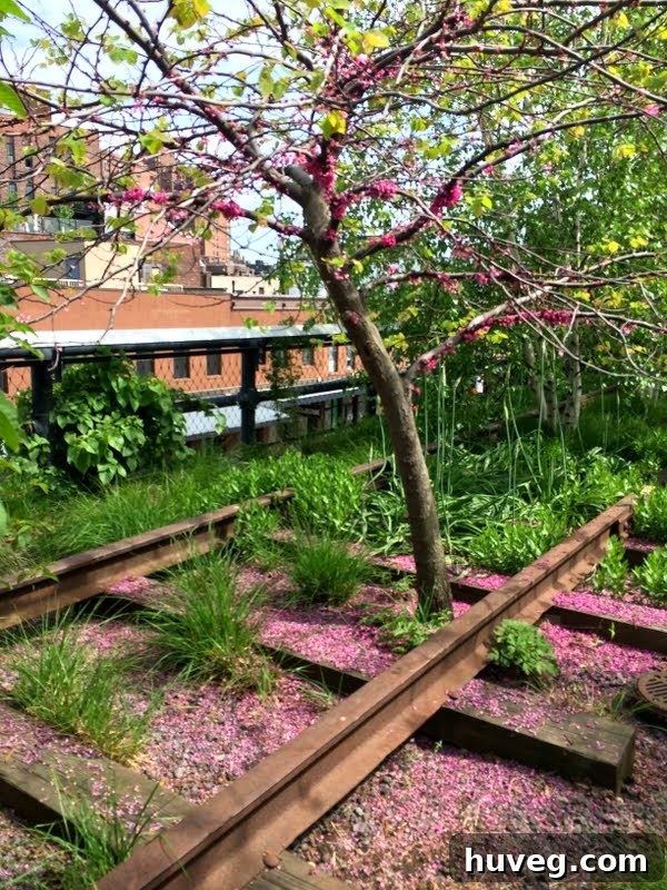 High Line park NYC, repurposed railway urban park