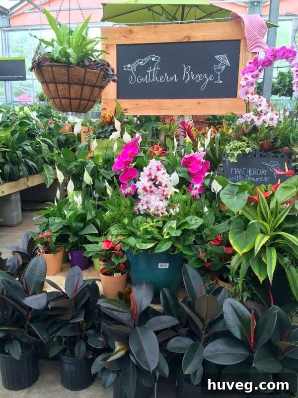 Colorful and vibrant garden plants displayed at the workshop