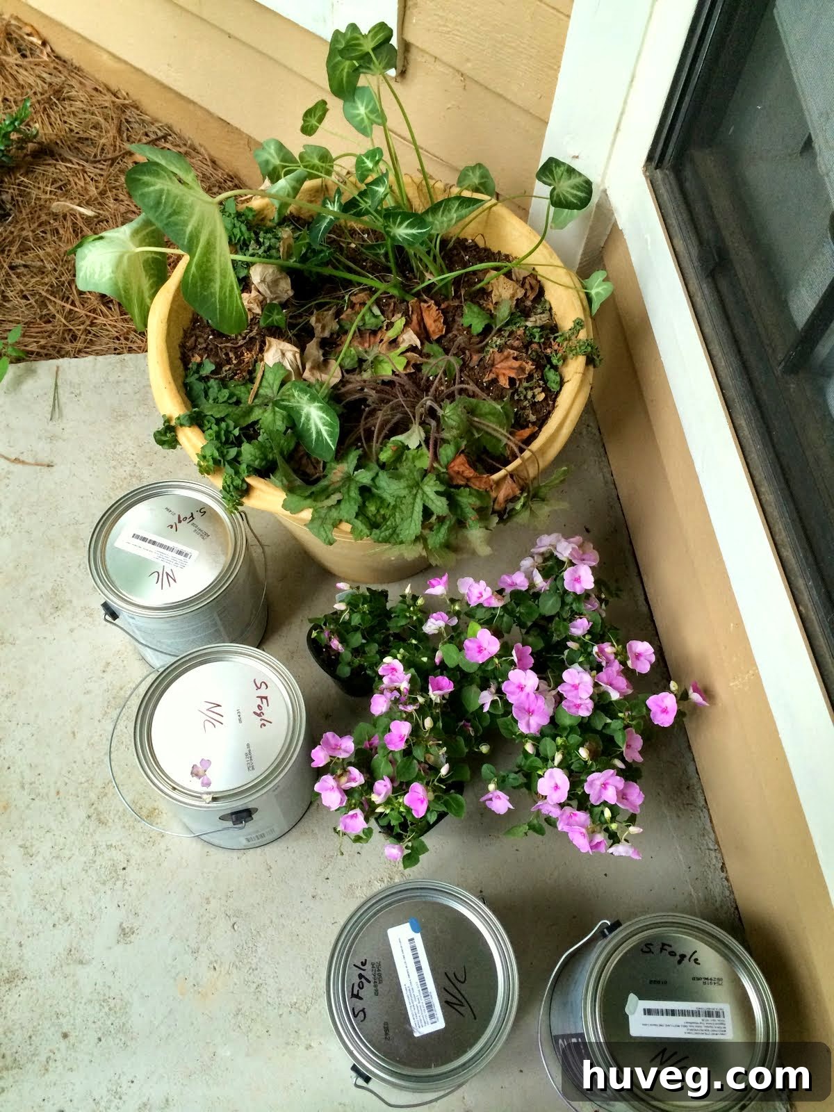 Existing pot with struggling plants, before new additions