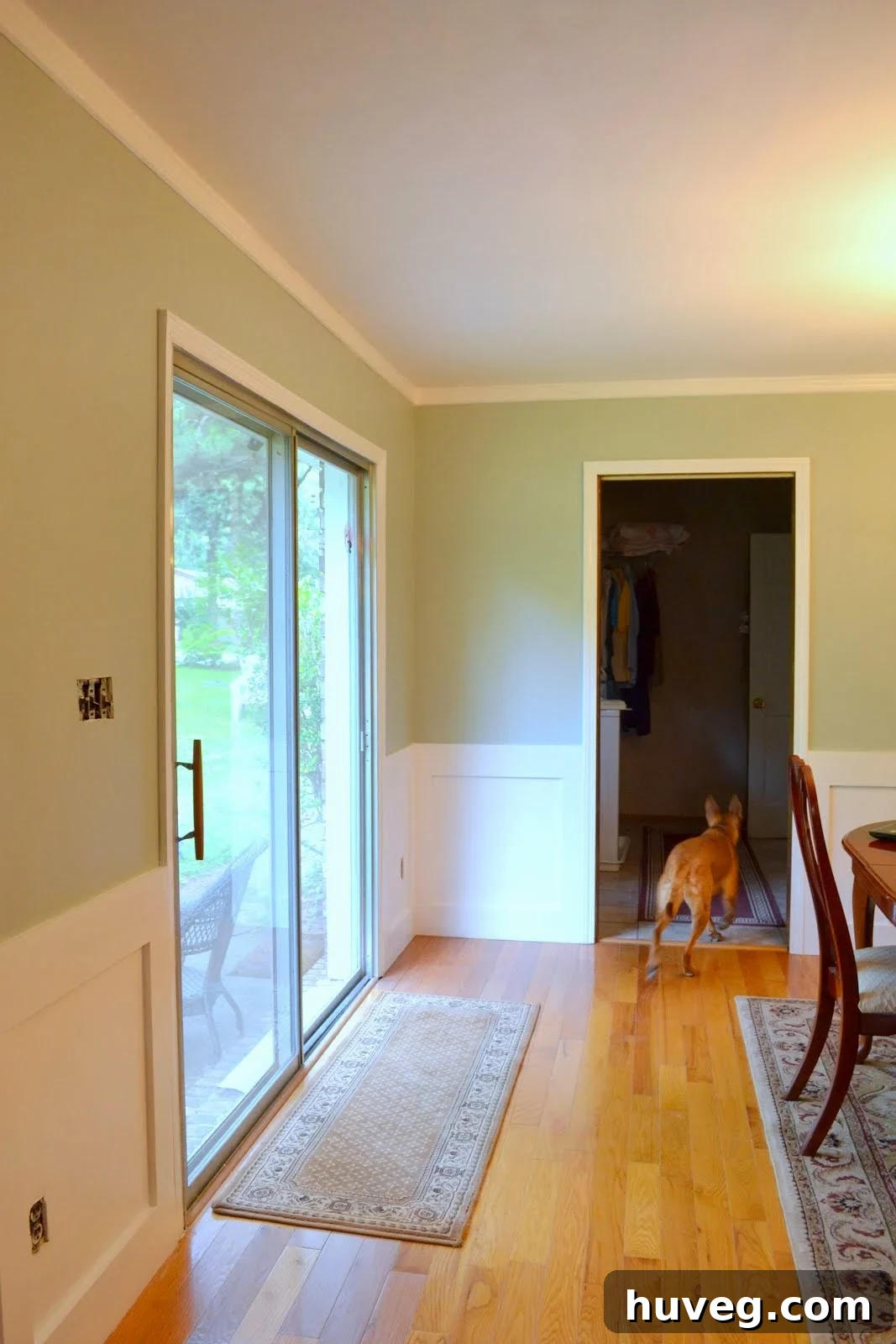 Charlie, the family dog, gracefully exiting the finished dining room