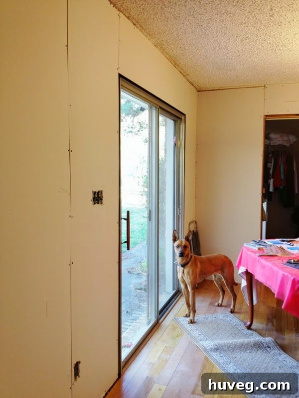Charlie, a dog, standing in front of the dining room patio door, showcasing the early drywall installation stage