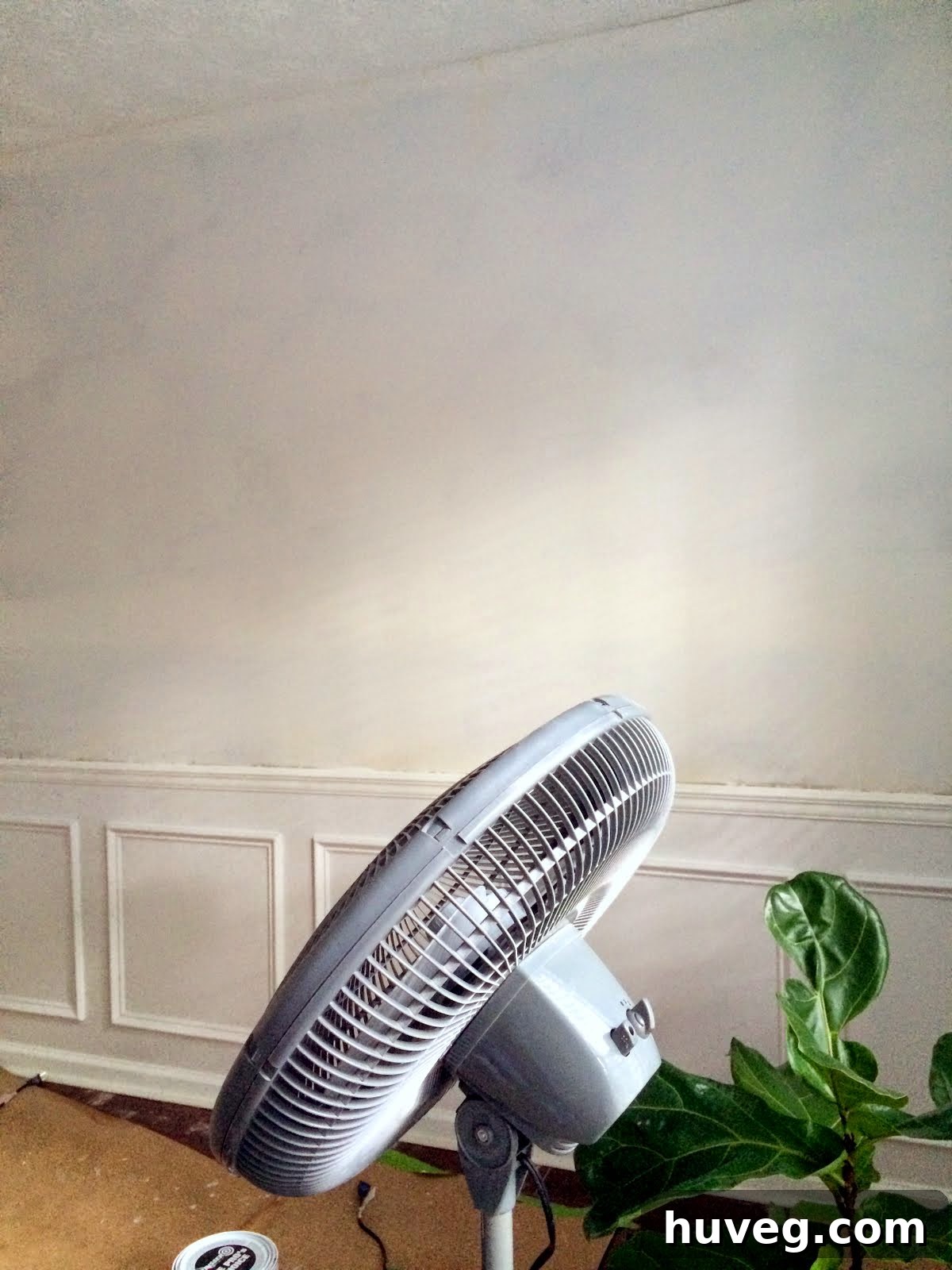 Close-up of primed wall, emphasizing smoothness