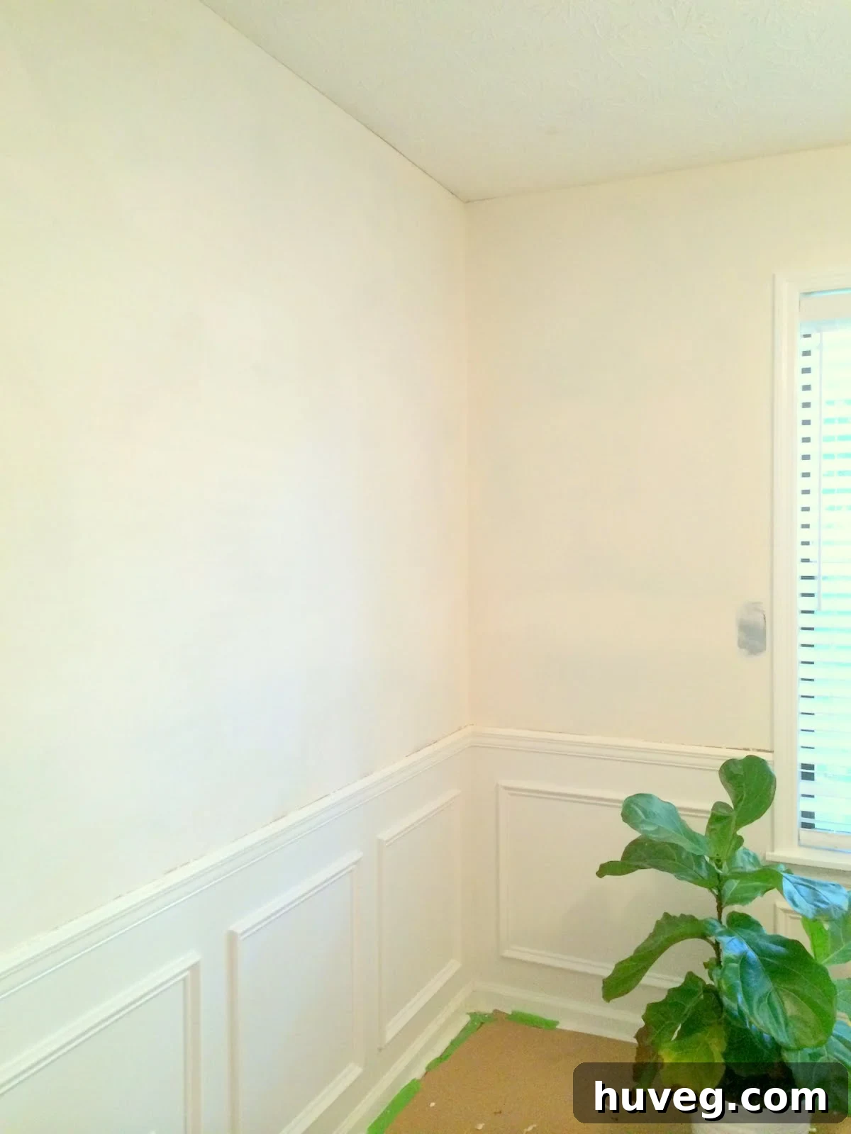 Wall sections meticulously patched with joint compound, ready for cleaning