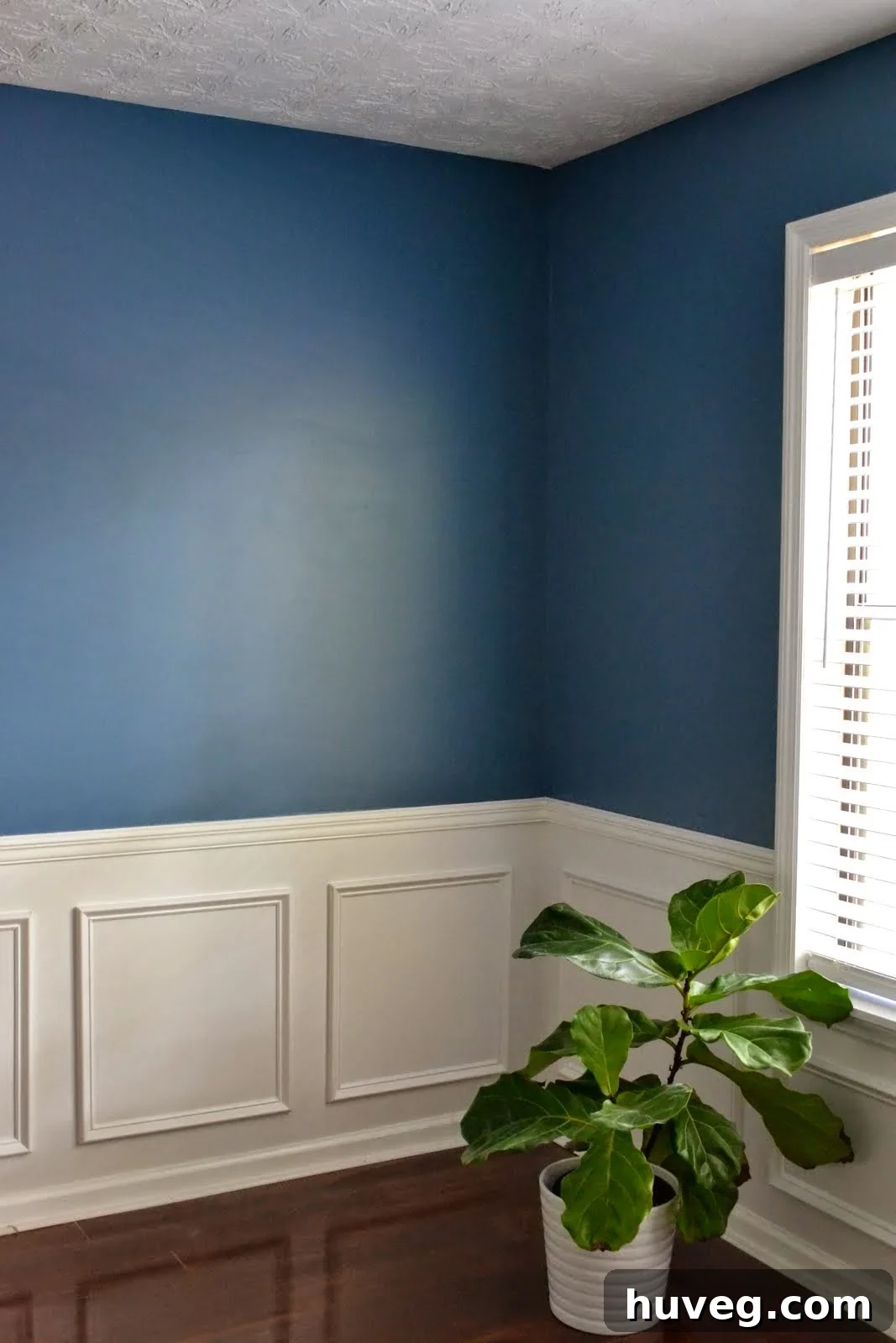 Freshly painted dining room with dynamic lighting