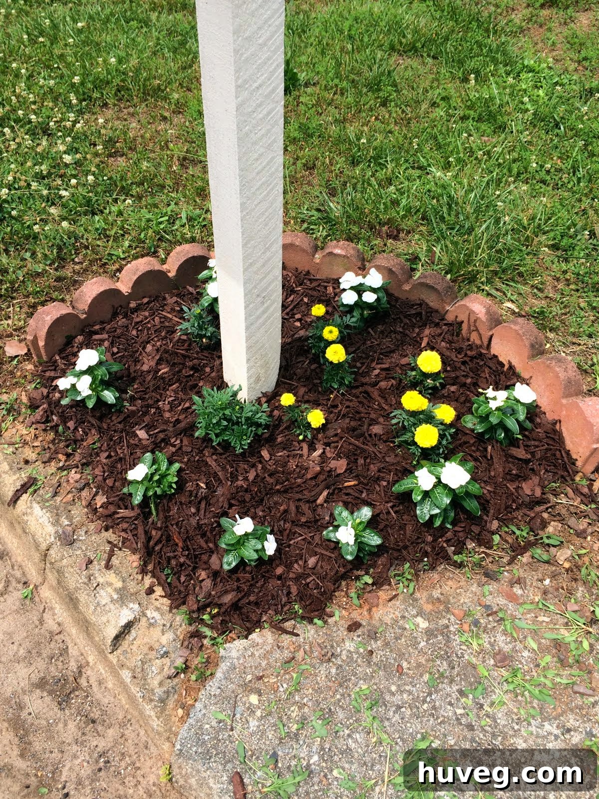 Freshly planted marigolds and vinca around the mailbox