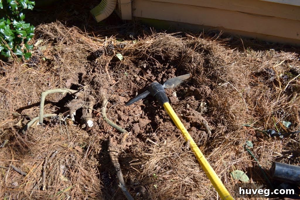 Mattock tool for digging