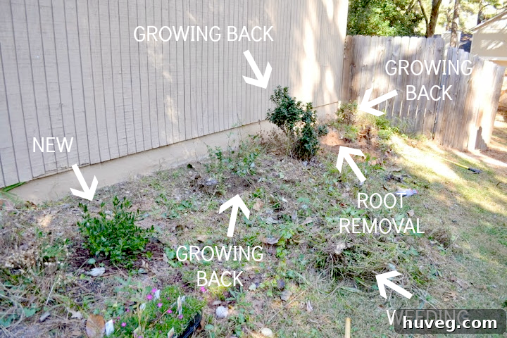 side of garage labeled