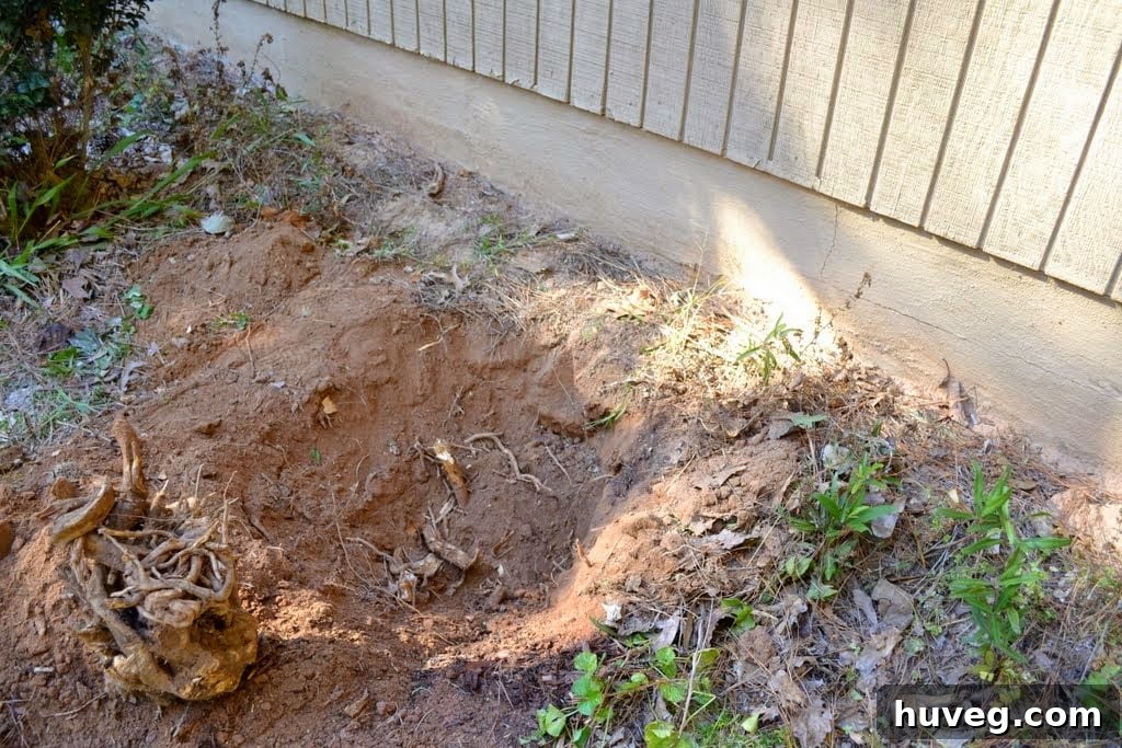 Digging around a stubborn root