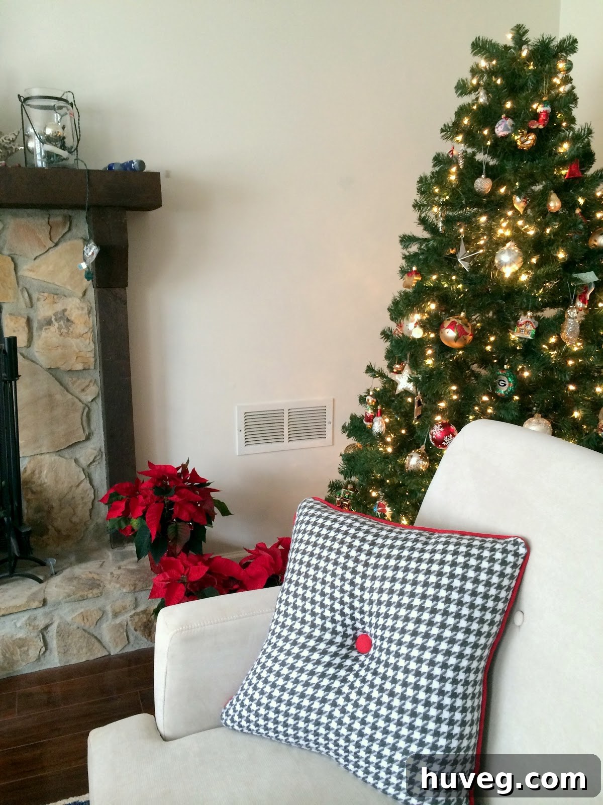 A beautifully painted living room corner with a Christmas tree