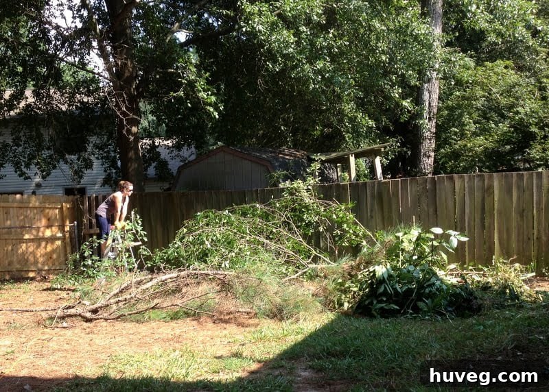 Pine needles heavily covering the ground and roof, causing aesthetic and maintenance problems.
