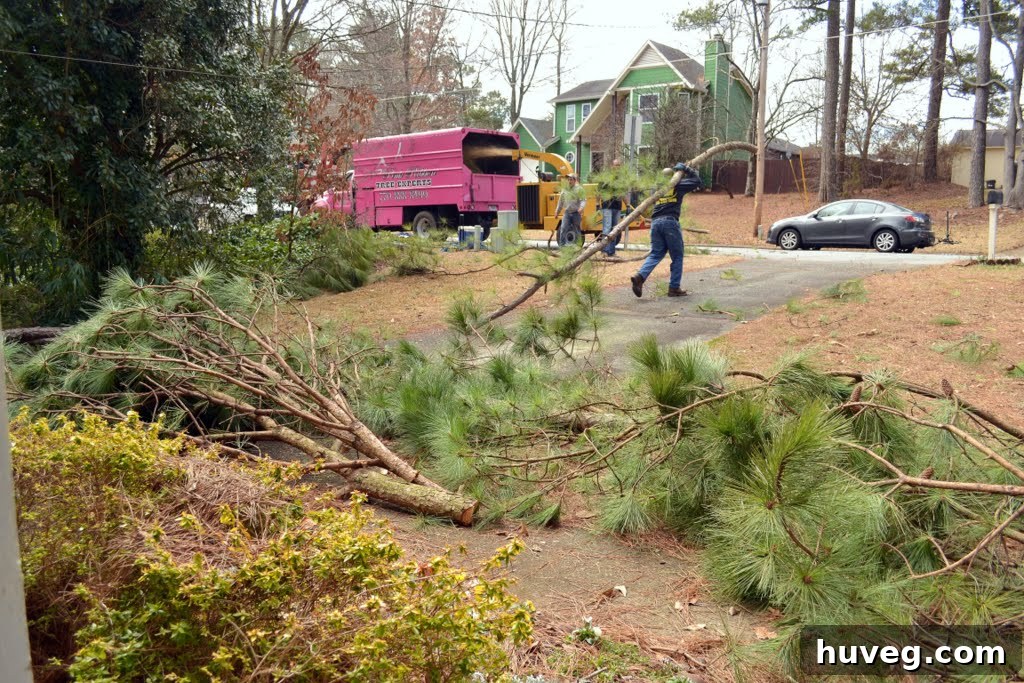 Tree removal crew members working together to clear branches and prepare them for chipping.