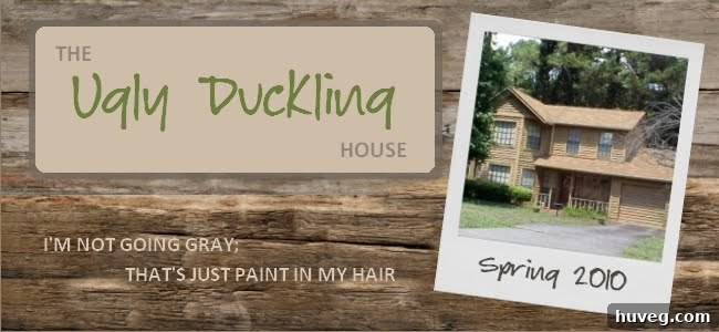 The Ugly Duckling House blog's initial banner logo from April 2010