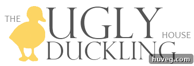 A more minimalist header design for The Ugly Duckling House, active from 2011 to 2013