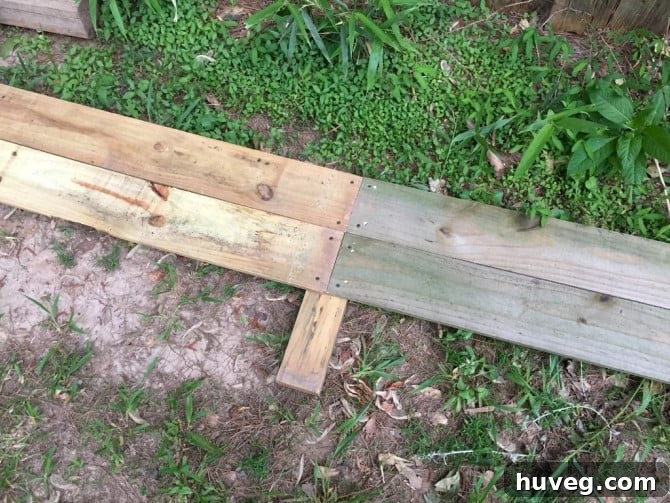 raised garden beds