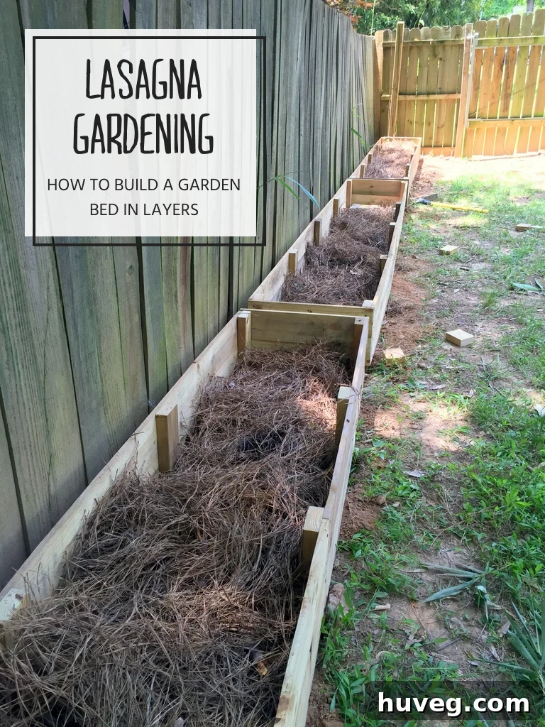 lasagna garden beds