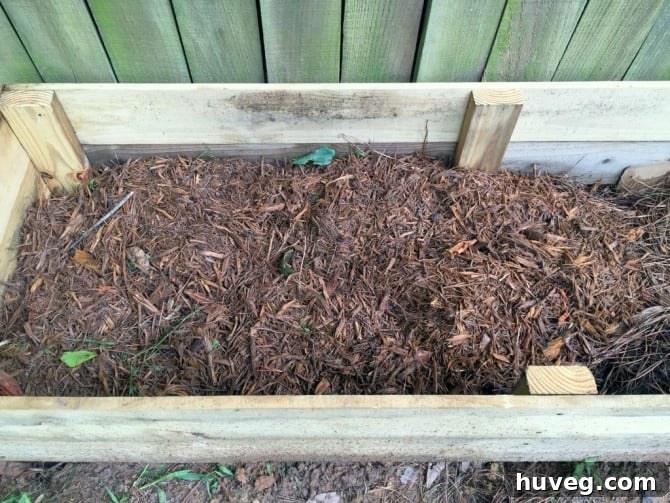mulch layer