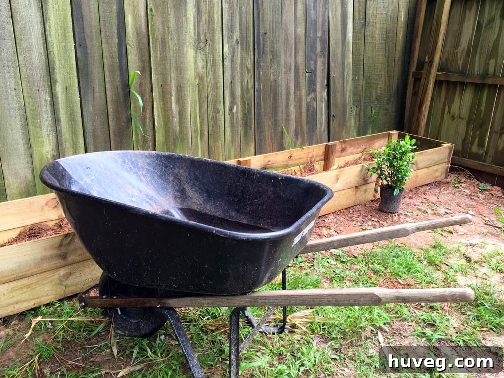 Wheelbarrow in front of garden bed