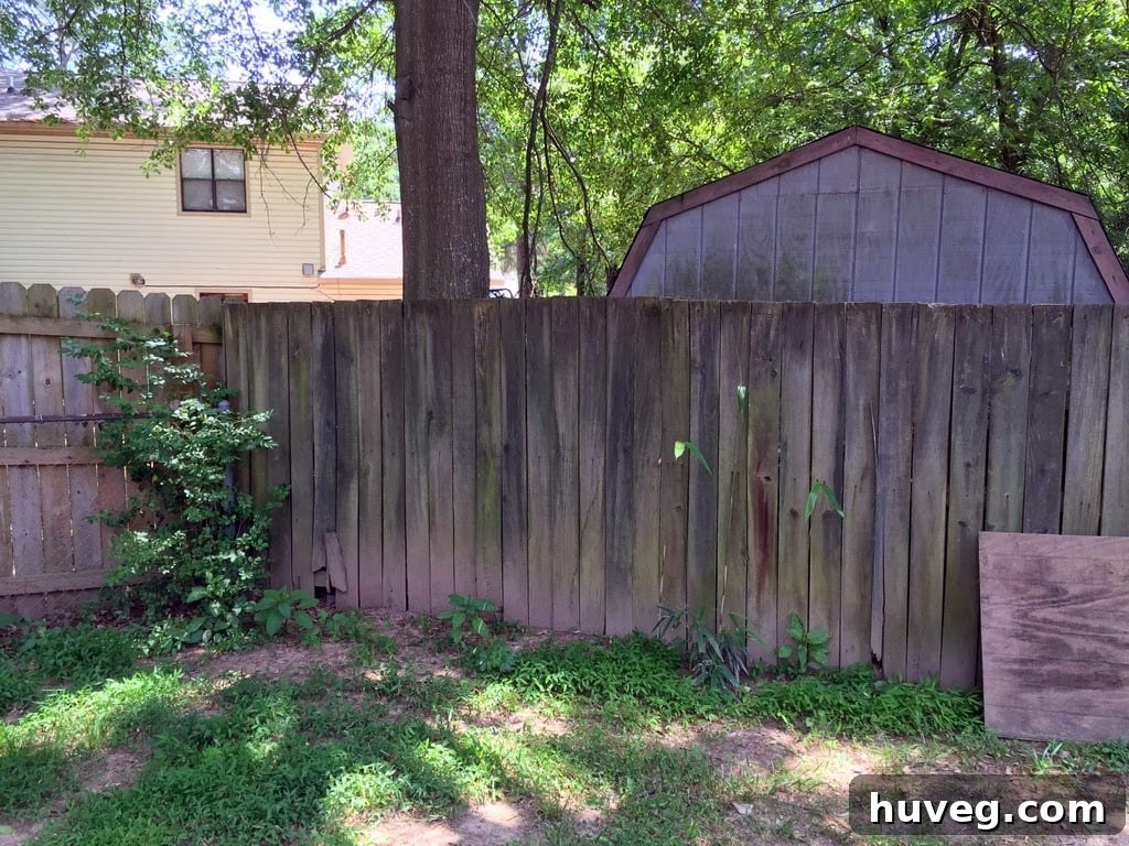 Old fenceline
