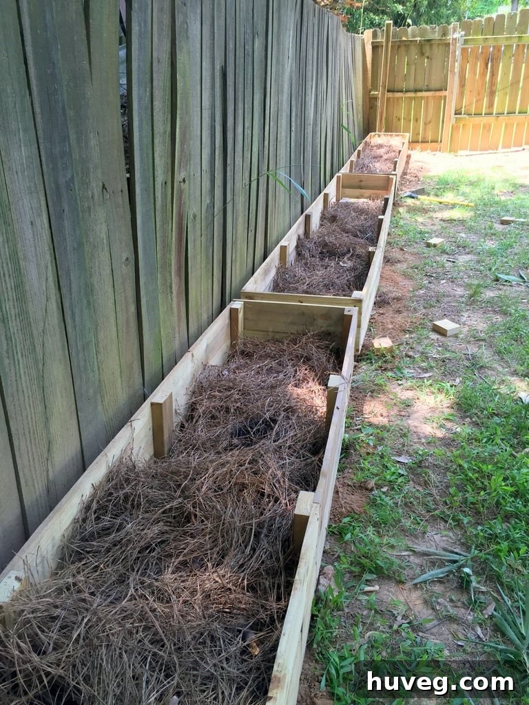 pine straw layer
