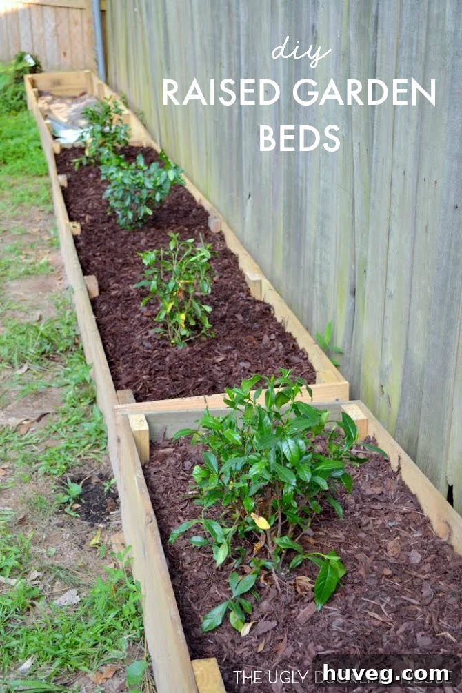 Raised Garden Beds: A Successful Backyard Project