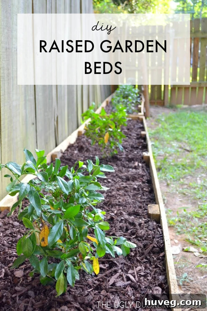 Finished Garden Beds: Adding Greenery to the Backyard