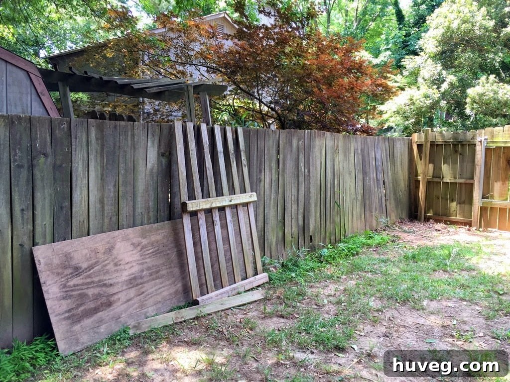 Old Backyard Fence in Need of Renovation