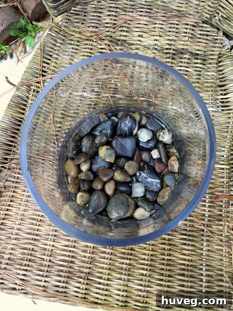 Clear glass vase with a substantial layer of decorative river rocks at the bottom for drainage