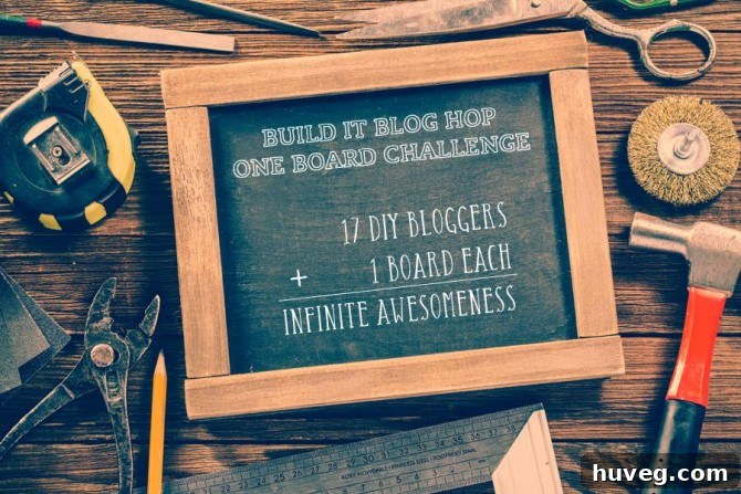 One Board Challenge logo for DIY woodworking projects