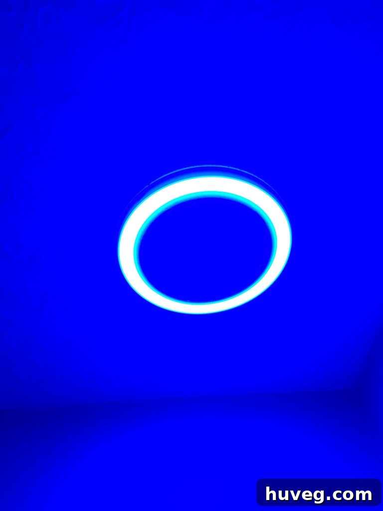 Light turned to blue