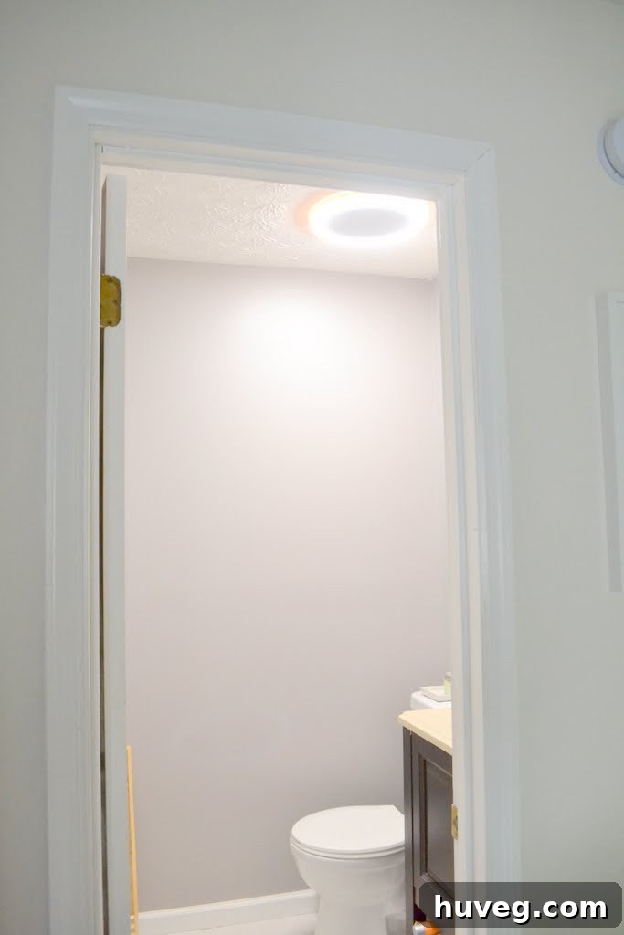 New Bluetooth vent and light in guest bathroom