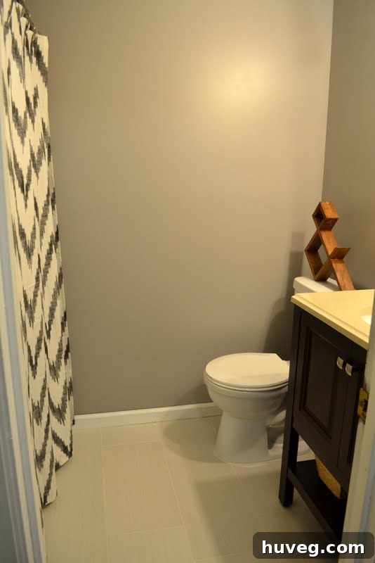 New Bluetooth vent and light in guest bathroom