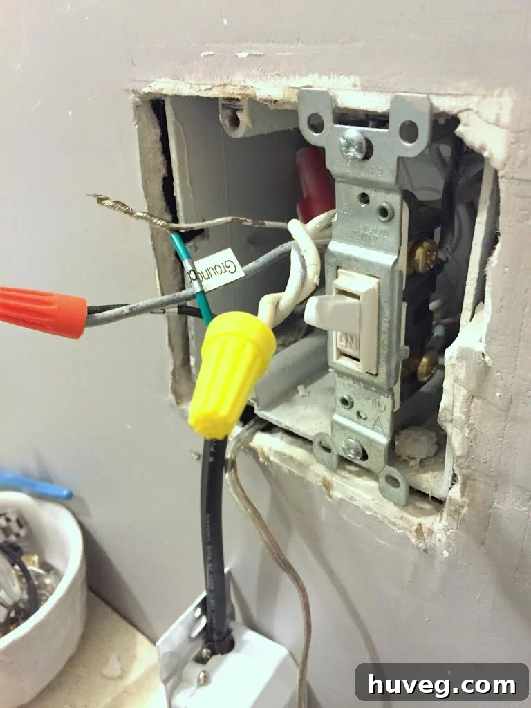 Electrical wires and light switch