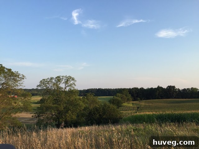Peaceful farm landscape