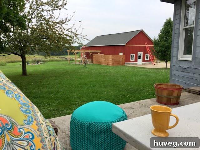 Farm life observations during blogger visit