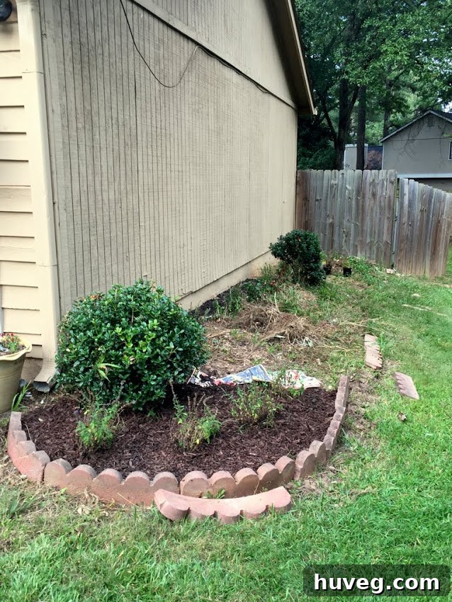 Working on straightening flower bed edging during a cloudy day